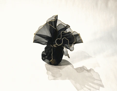 A sculptural black Bagology bag with contrasting gold edges